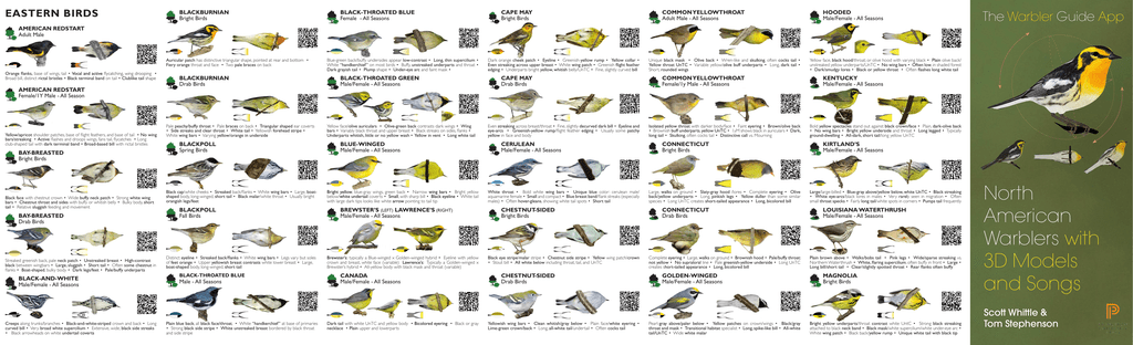 North American Warbler Fold Out Guide