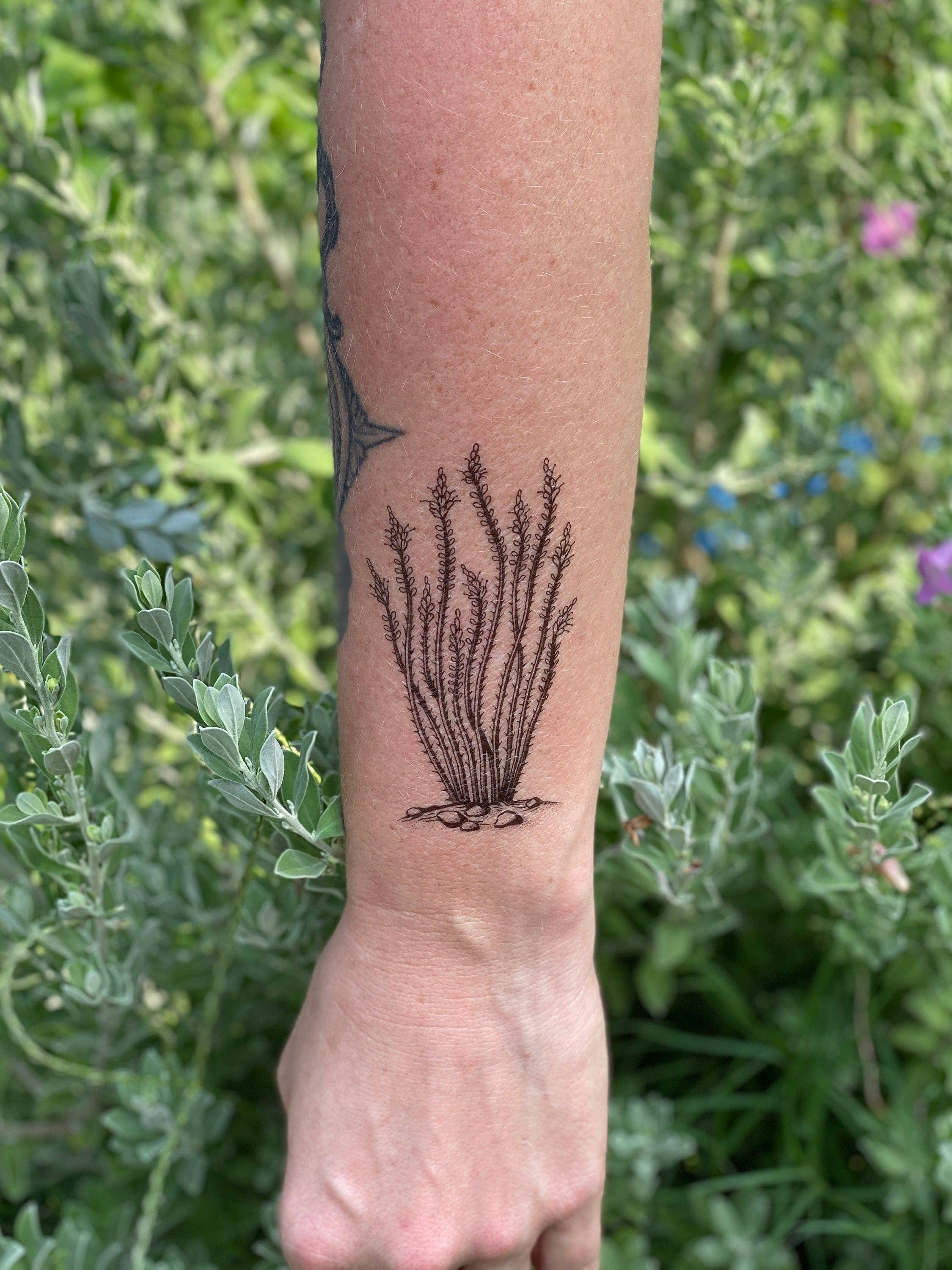 Ocotillo Temporary Tattoo