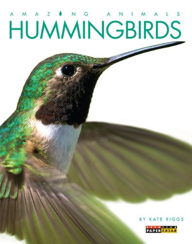 Amazing Animals Hummingbirds