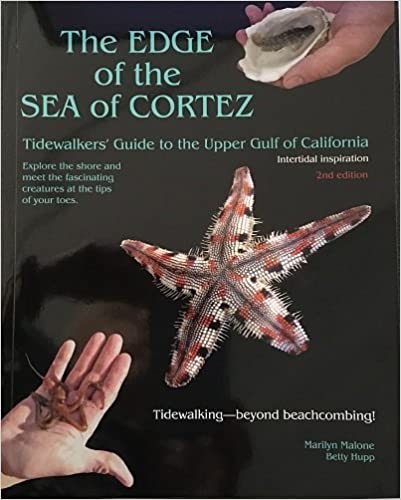 Edge of the Sea of Cortez 2nd Edition