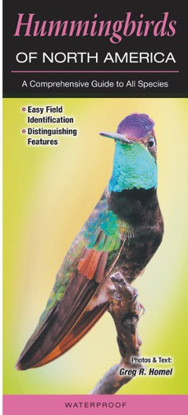 Hummingbirds of North America - Pocket Folding Guide