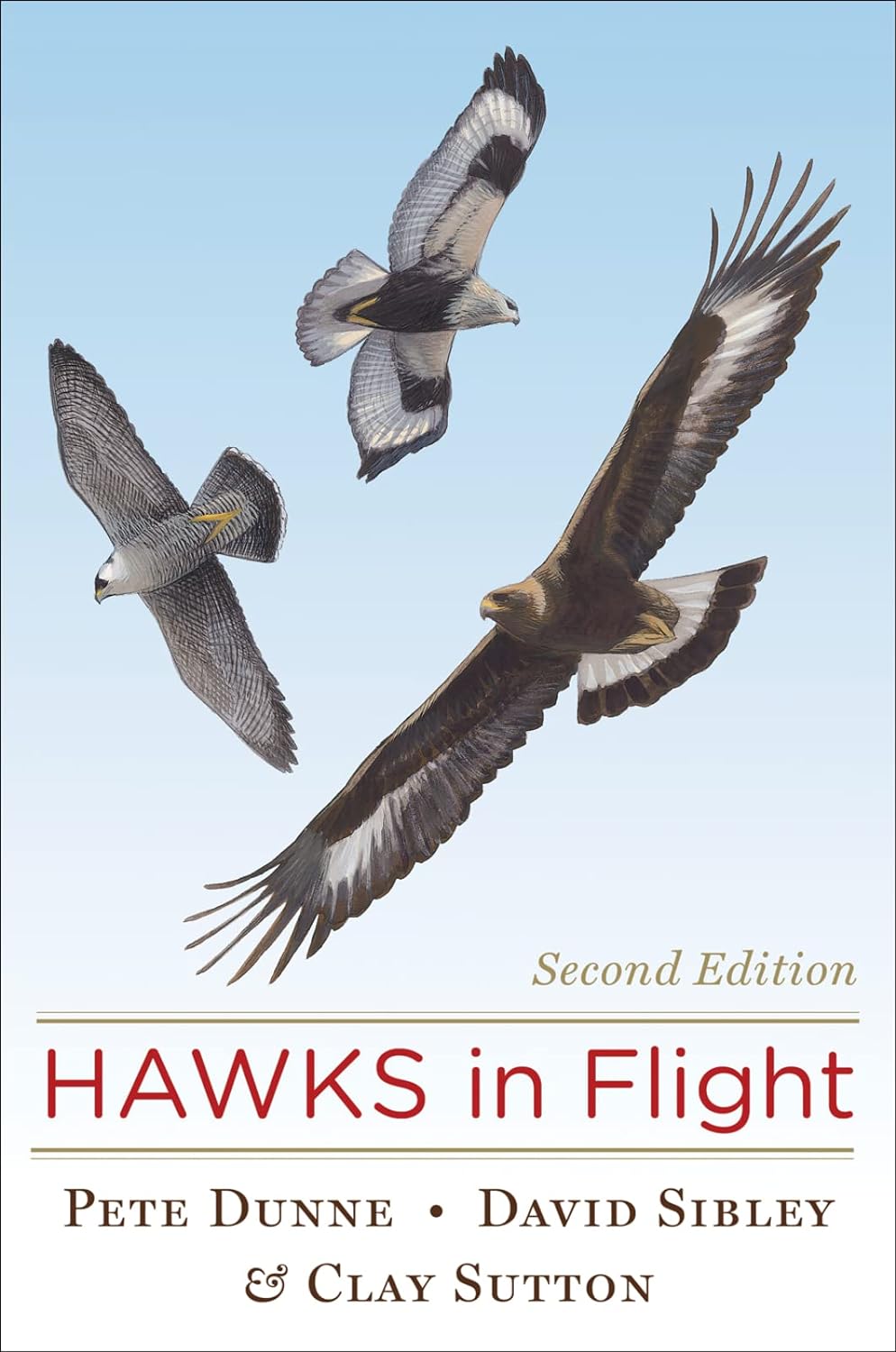 Hawks in Flight: 2nd Ed.