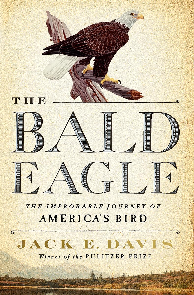 Bald Eagle: Improbable Journey