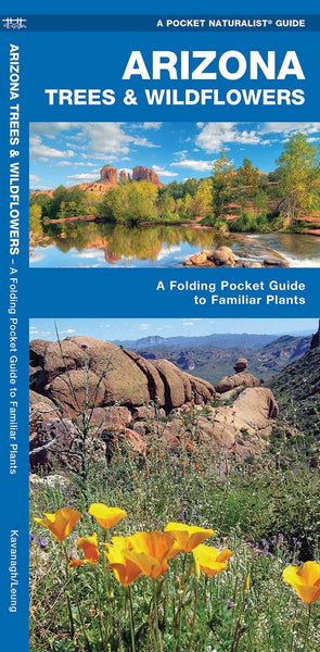 Arizona Trees and Wildflowers: Folding Pocket Guide
