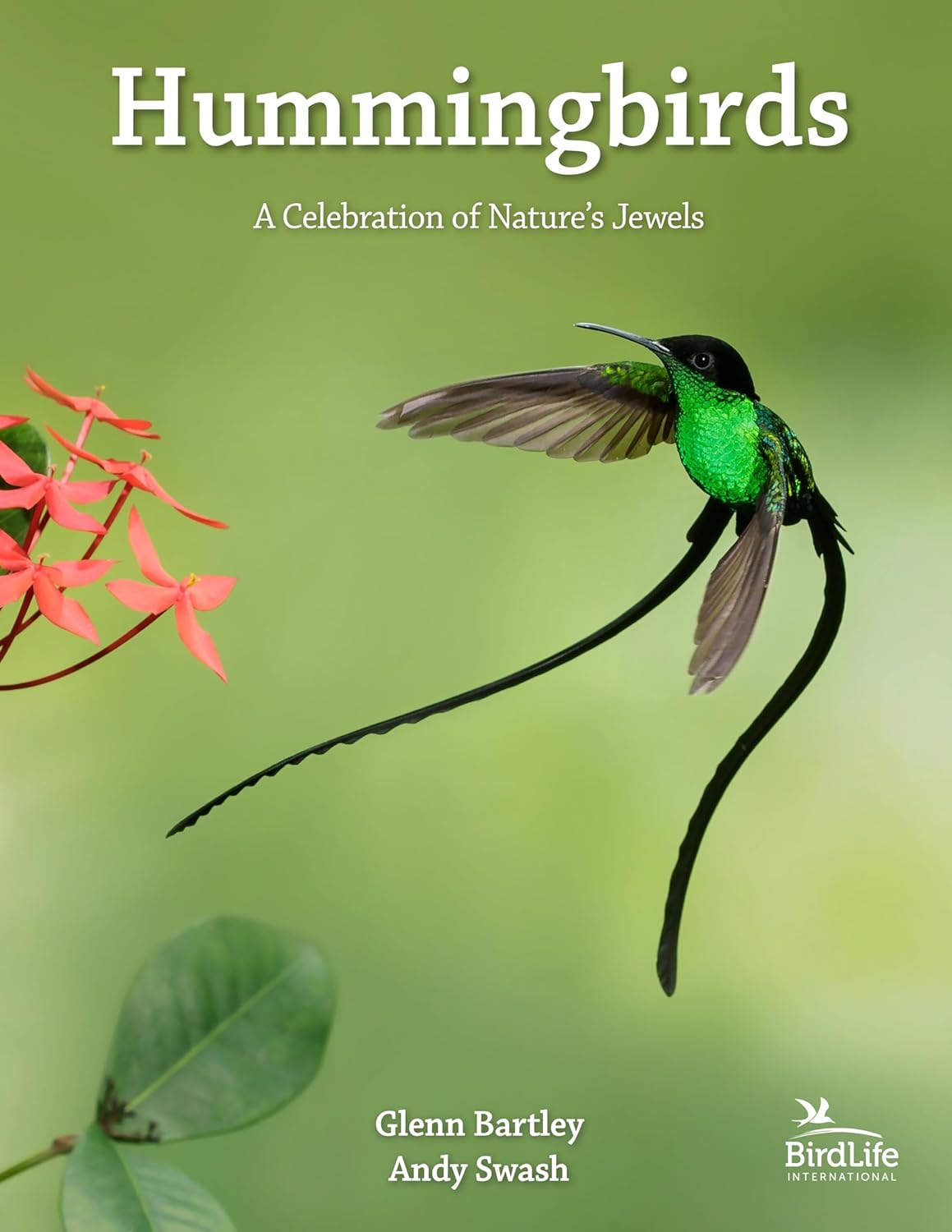 Hummingbirds: Nature's Jewels