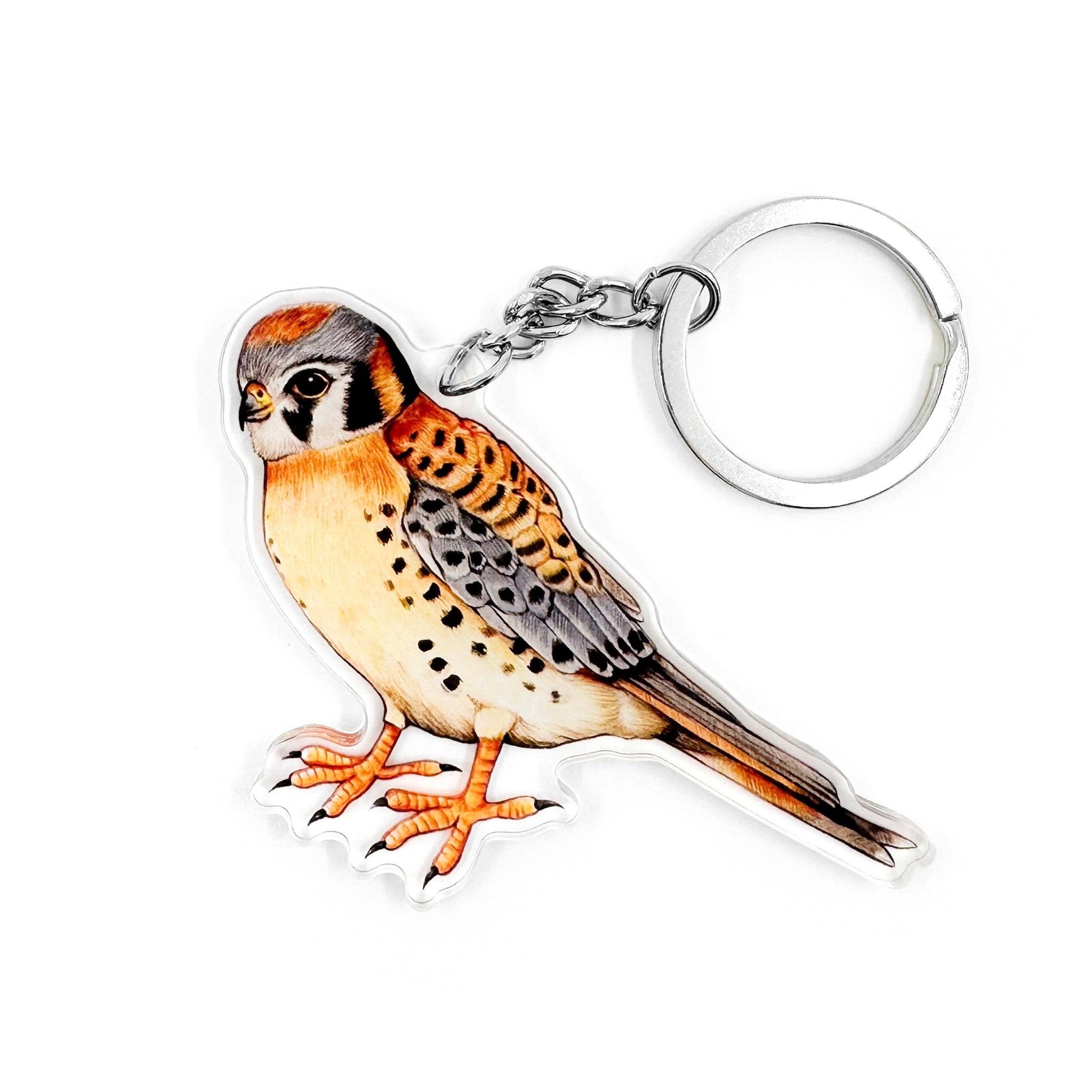 American Kestrel Keychain