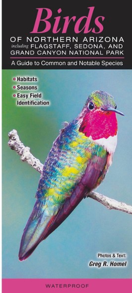 Birds of Northern Arizona Foldout Guide