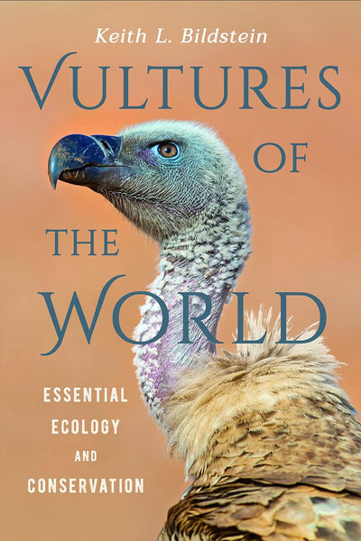 Vultures of the World: Essentia