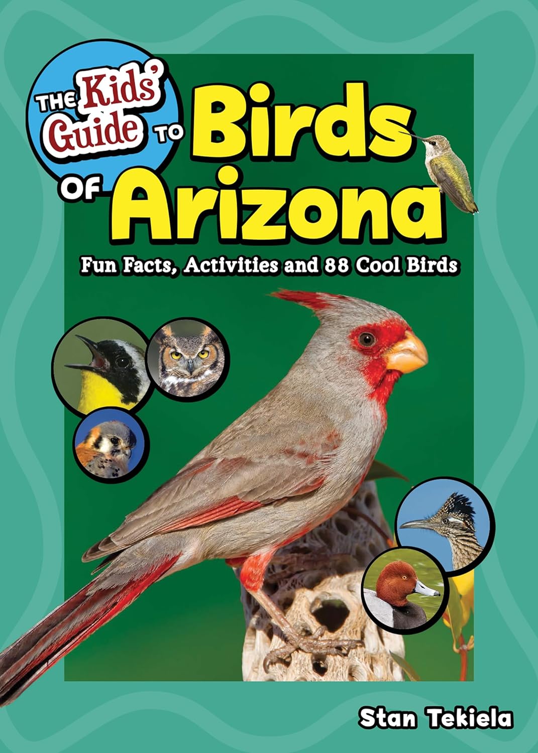 Kids GT Birds of AZ