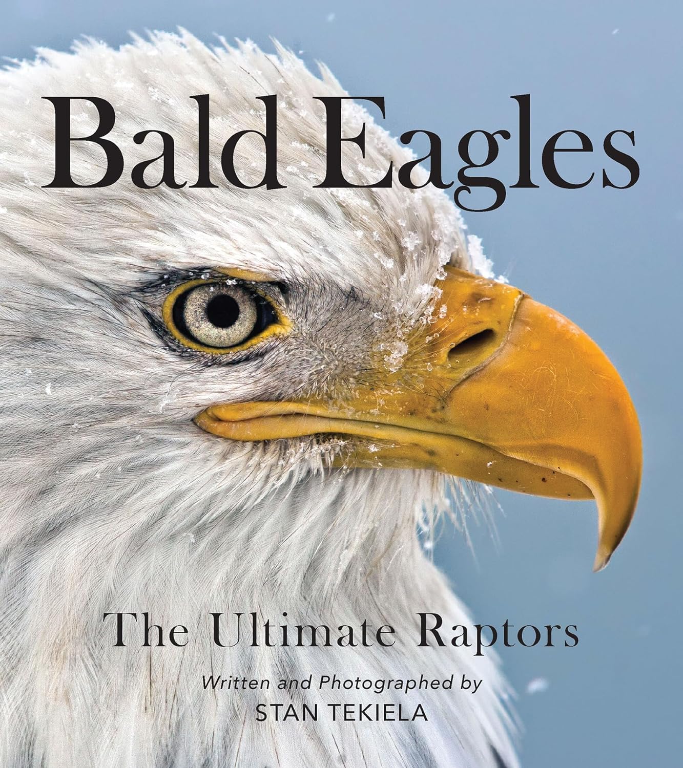Bald Eagles: Ultimate Raptors
