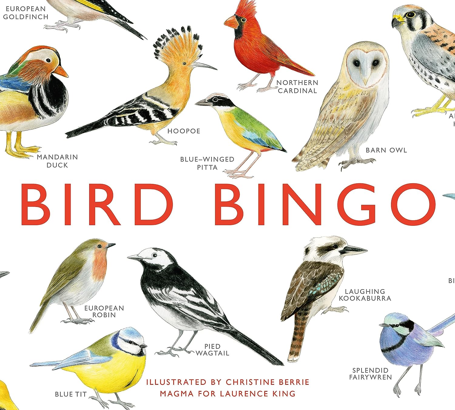 Bird Bingo Boxed