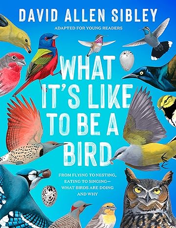 Kid's Version - What It's Like to Be a Bird