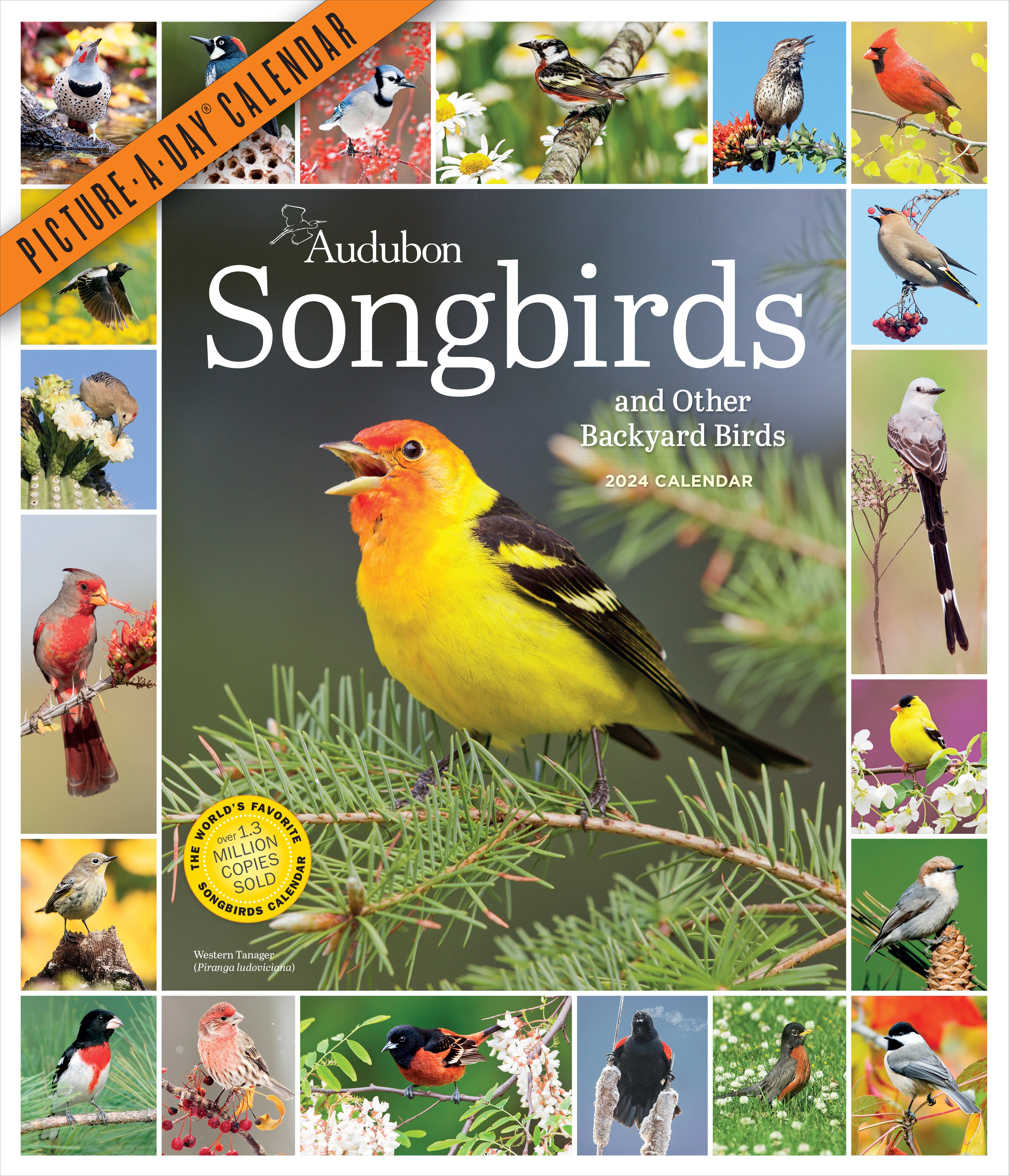 Songbirds and Other Backyard Birds Picture-A-Day 2024 Wall Calendar