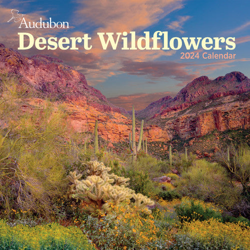 Desert Wildflowers 2024 Wall Calendar