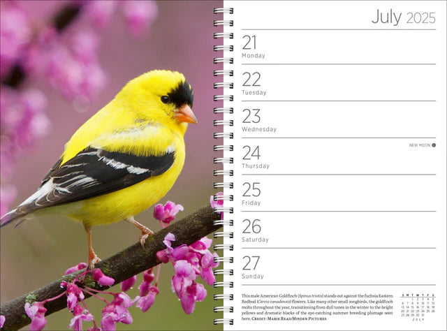 2025 Audubon Engagement Calendar