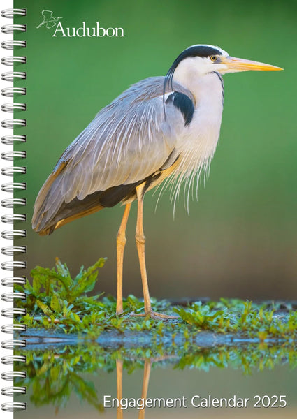 2025 Audubon Engagement Calendar