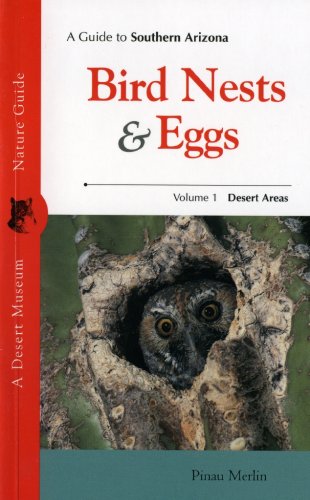 Guide to Southern Arizona Bird Nests & Eggs - Merlin