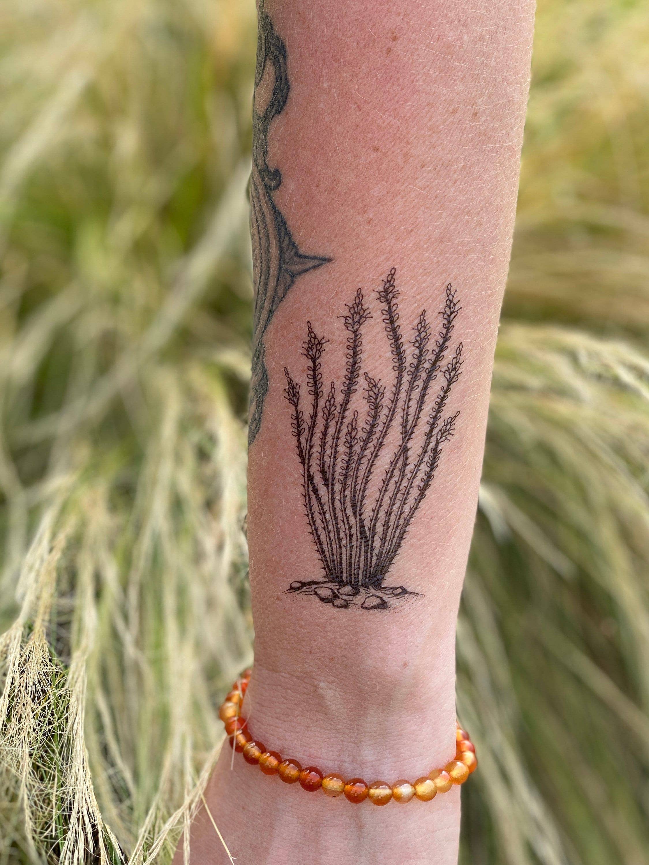 Ocotillo Temporary Tattoo