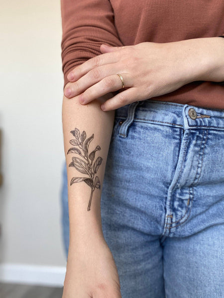 Sage Sprig Temporary Tattoo