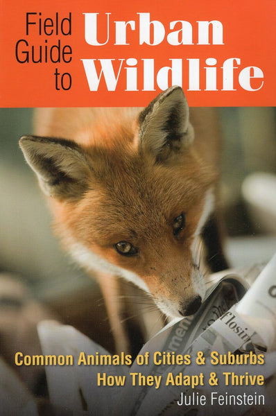Field Guide To Urban Wildlife