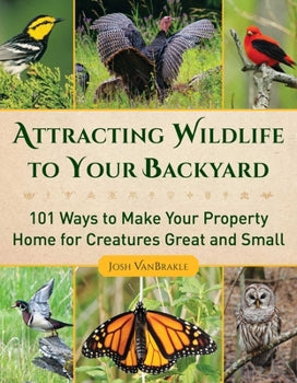 Attracting Wildlife to Your Backyard