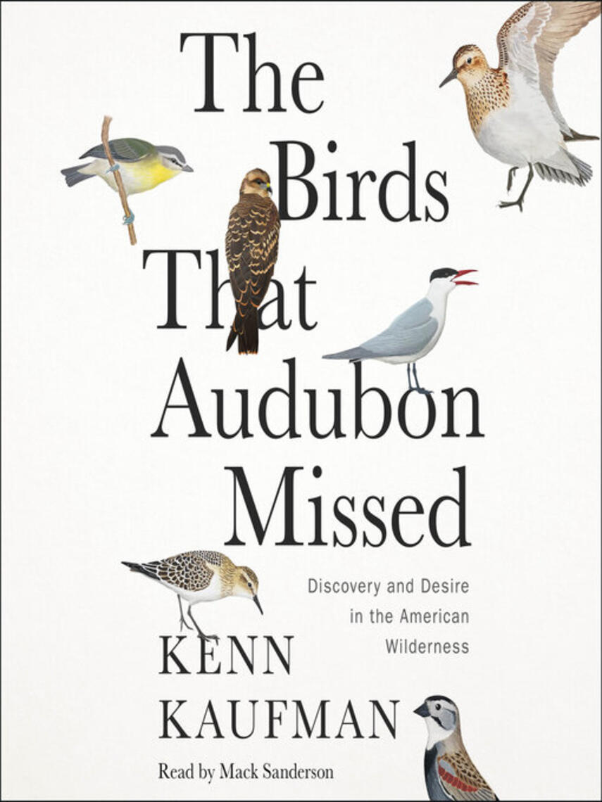 The Birds That Audubon Missed: Discovery and Desire in the American Wilderness