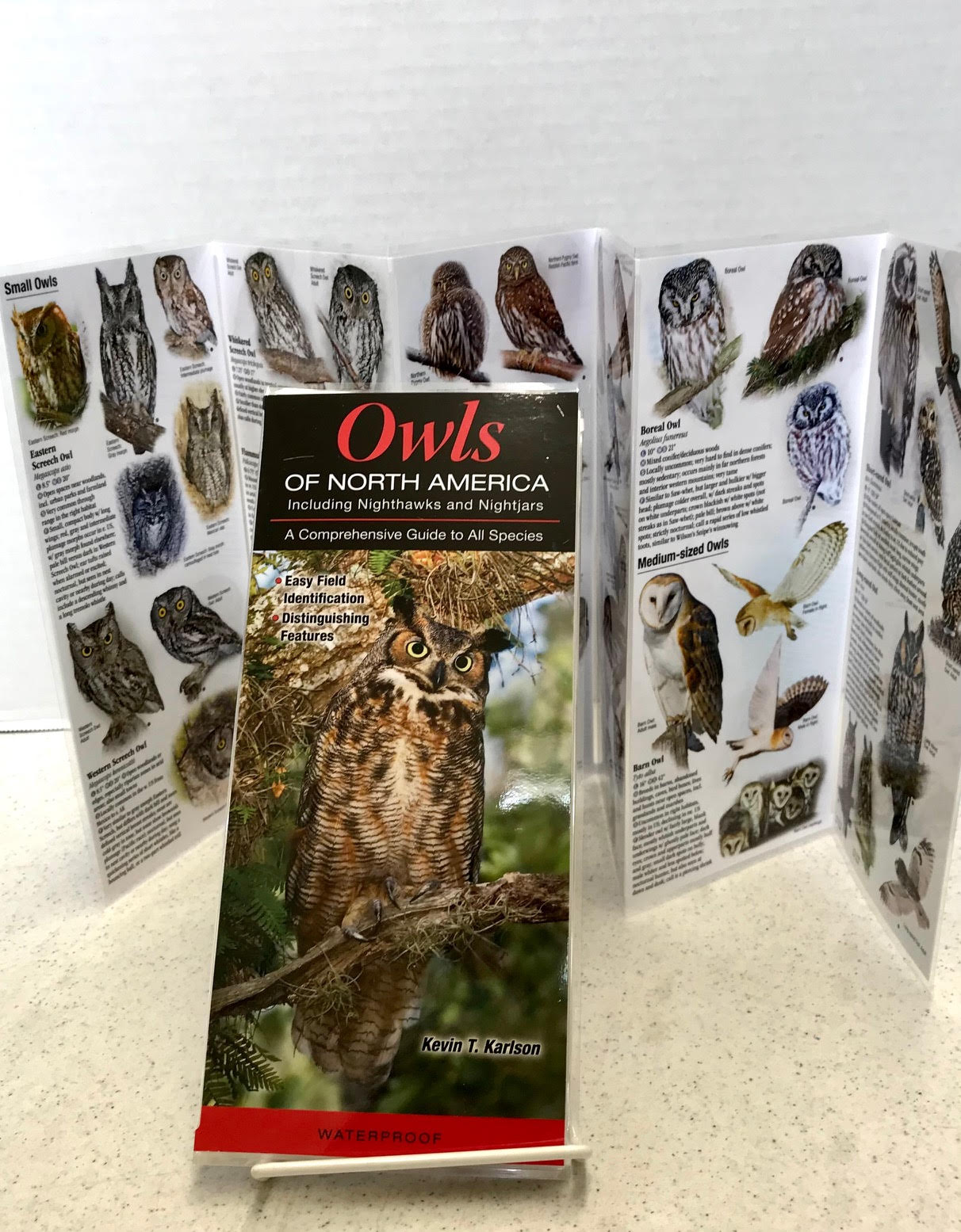 Owls of North America: Folding Pocket Guide