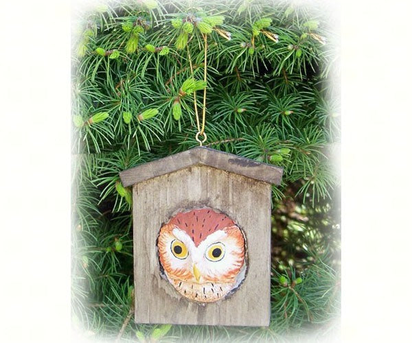 Ornament Owl House