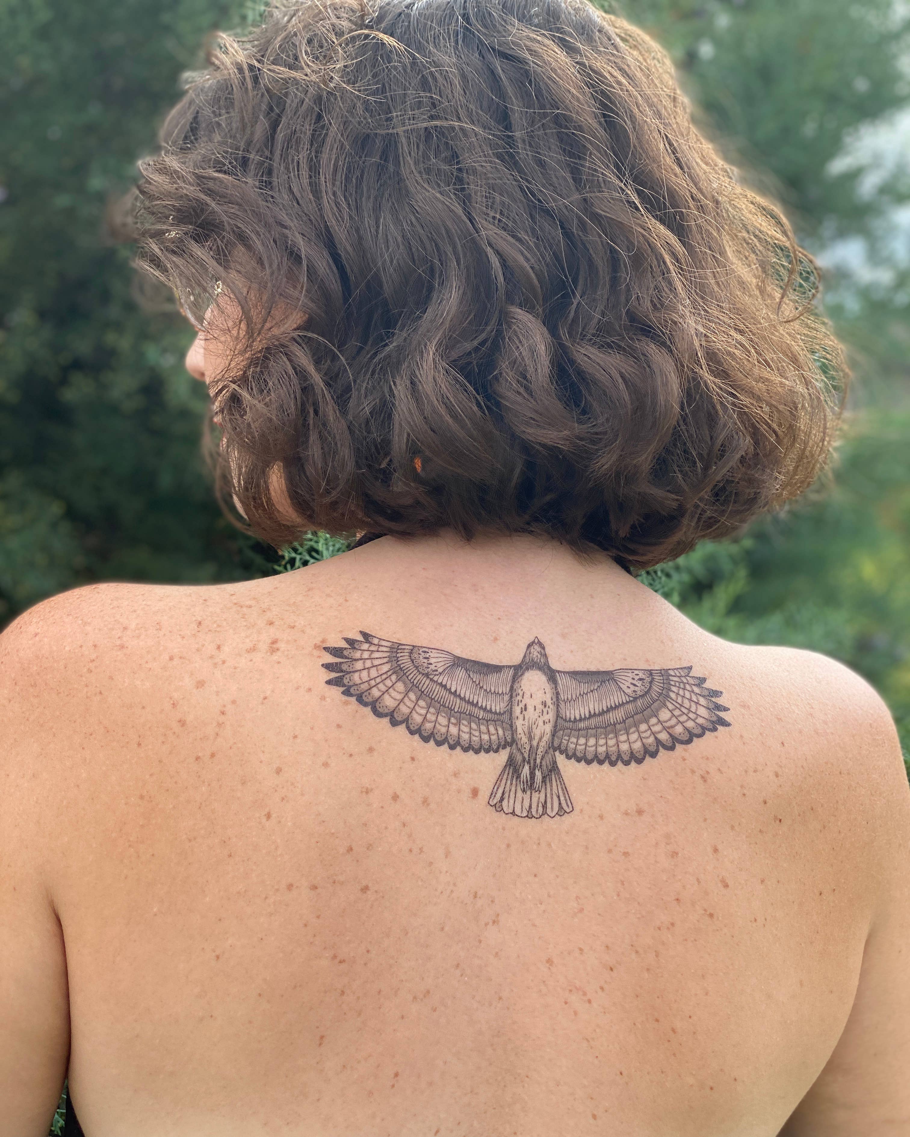 Hawk Temporary Tattoo: 1-Pack
