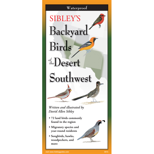 Sibley's Backyard Birds of the Desert Southwest