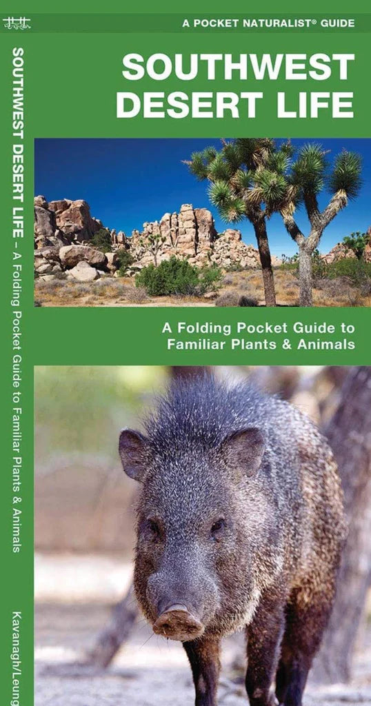 Pocket Naturalist Guide: Southwest Desert Life