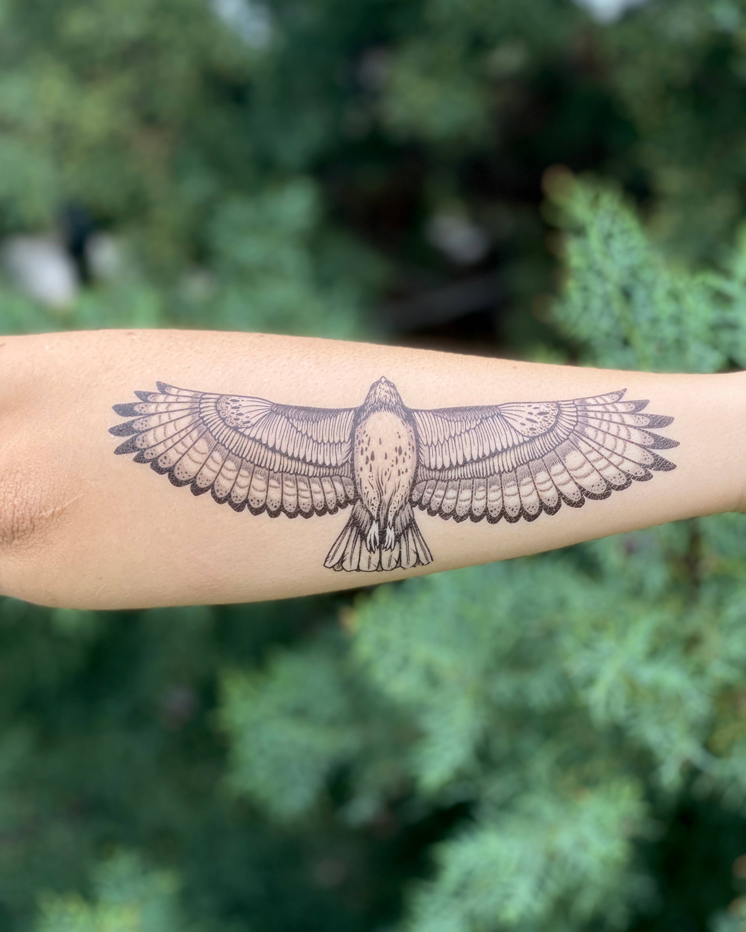Hawk Temporary Tattoo: 1-Pack