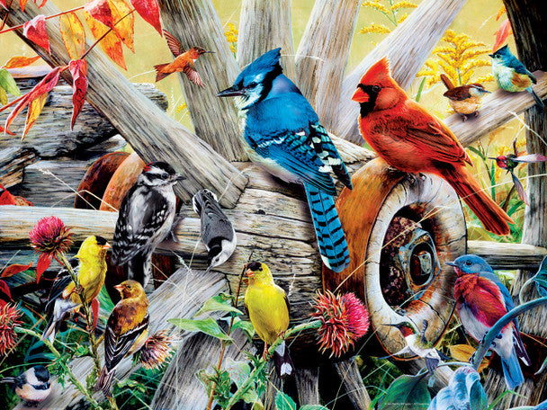 Audubon Backyard Birds 1000pc Puzzle