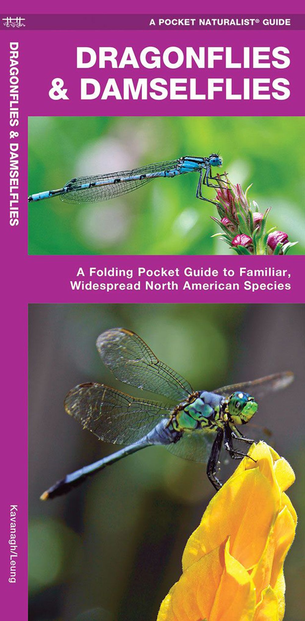 Pocket Naturalist Guide: Dragonflies and Damselflies