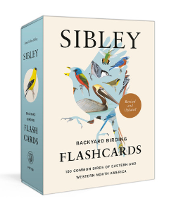 Backyard Birds Flashcards