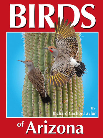 Birds of Arizona - Taylor