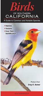 Quick Reference Publishing: Birds of Southern California