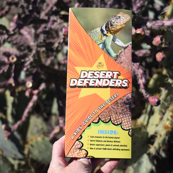 Desert Defenders: Kids' Guide to the Desert