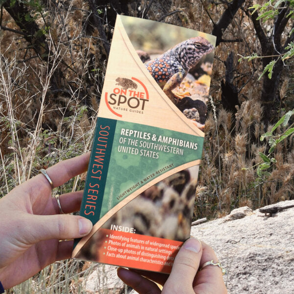 On The Spot Guide - Reptiles & Amphibians of Southwest US