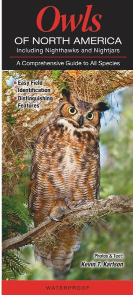 Owls of North America: Folding Pocket Guide