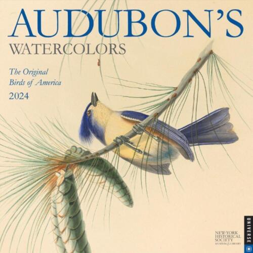 Audubon's Watercolors 2024 Wall Calendar