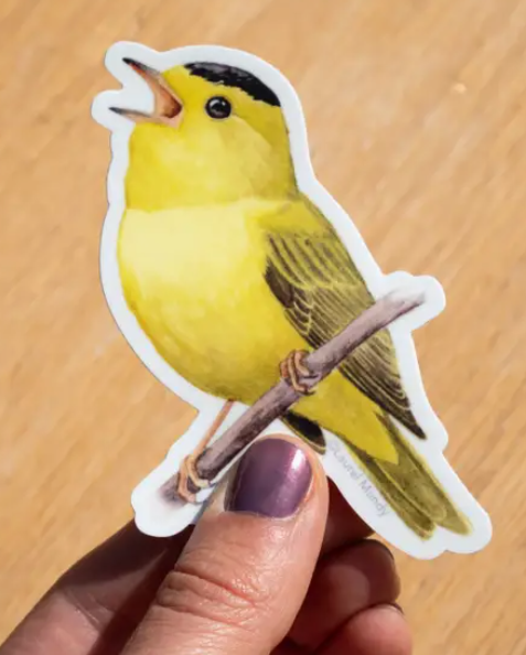 Wilson's Warbler Vinyl Sticker