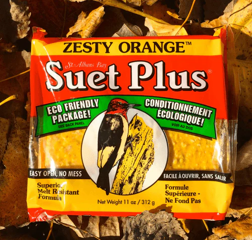 Suet Plus Zesty Orange Cake