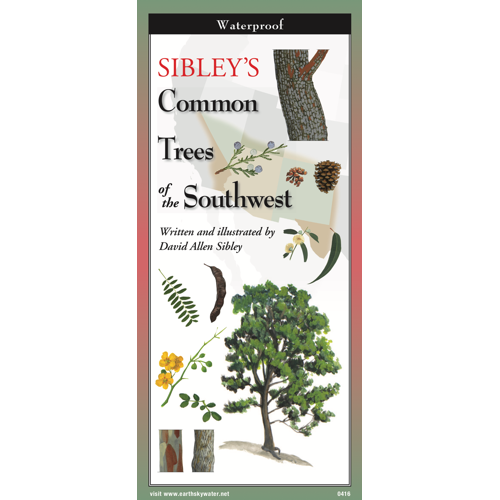 Sibley's Trees of the Southwest