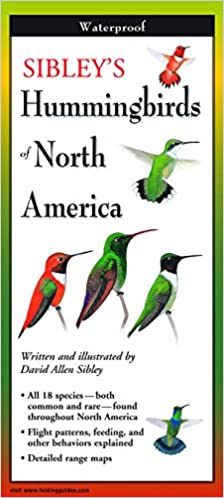 Sibley's Hummingbirds of North America (folding guide)