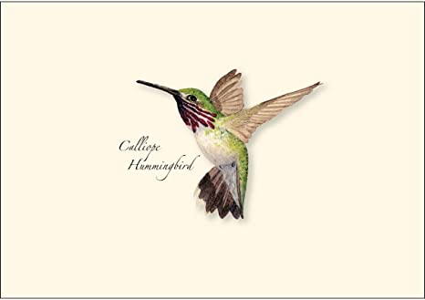 Western Hummingbird Boxed Notecard Assortment