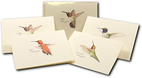 Western Hummingbird Boxed Notecard Assortment