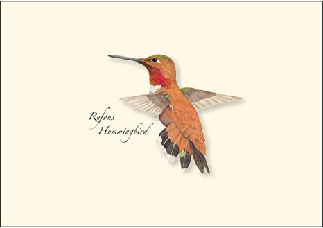 Western Hummingbird Boxed Notecard Assortment