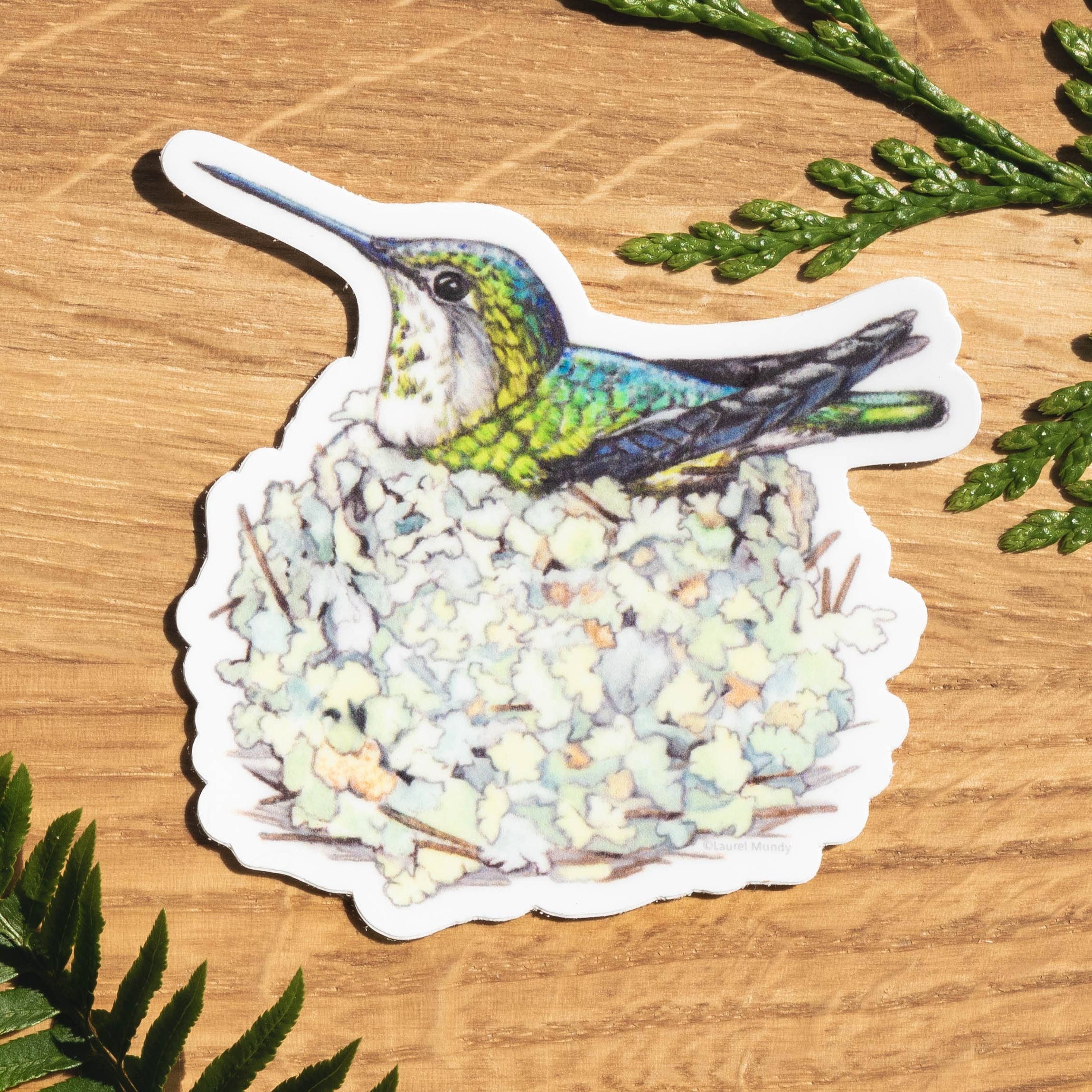 Hummingbird Mama 3" Medium Vinyl Sticker Waterproof