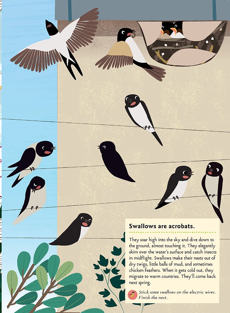 My Nature Sticker Activity Book - Birds of the World